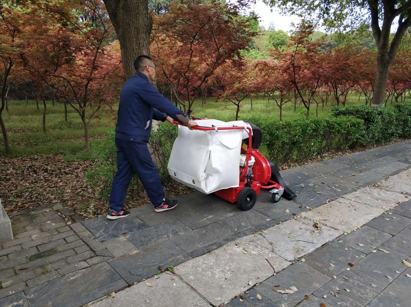 佛山某貿(mào)易有限公司采購(gòu)吸落葉機(jī)解決落葉堆積問(wèn)題 佛山某貿(mào)易有限公司采購(gòu)吸落葉機(jī)解決落葉堆積問(wèn)題